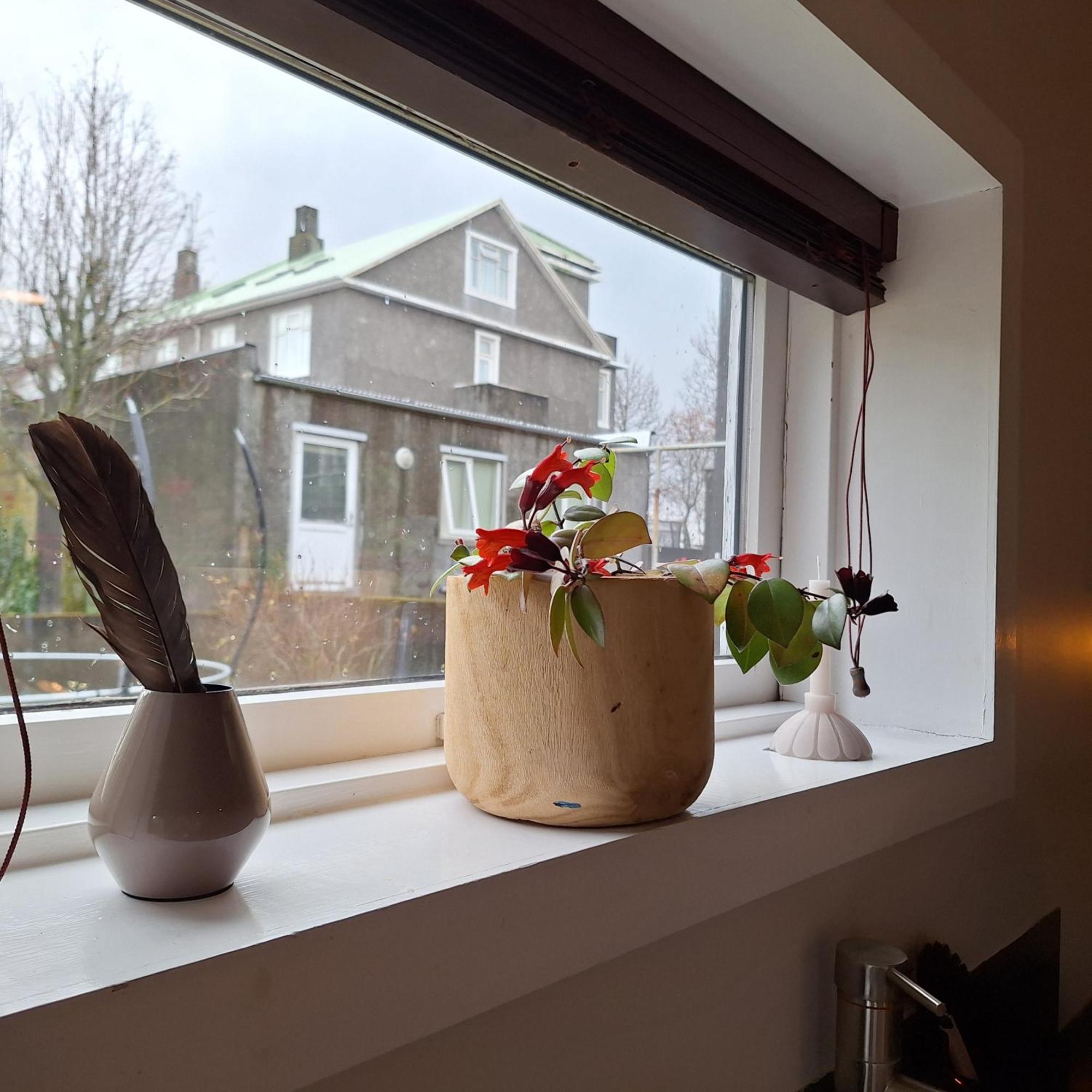 Central Reykjavík - Garden Cottage Exteriör bild